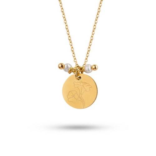 گردنبند  کد N1073